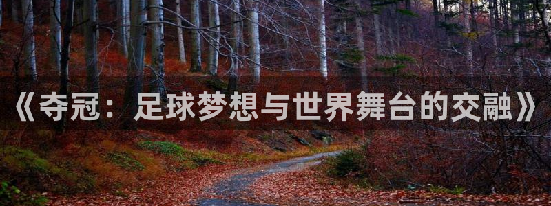 世界杯亚洲预选赛18强赛程：《夺冠：足球梦想与世界舞台的交融》