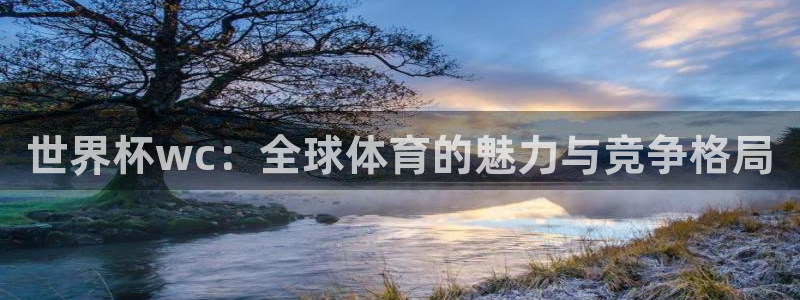 2026年男足世界杯：世界杯wc：全球体育的魅力与竞争格局