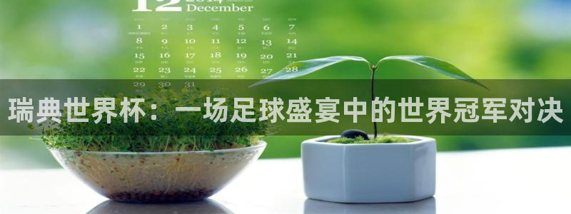 世界杯预选赛赛程时间表：瑞典世界杯：一场足球盛宴中的世界冠军对决