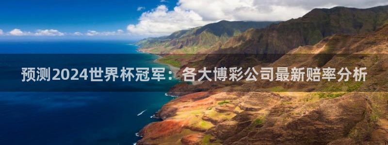 世界杯系列赛:预测2024世界杯冠军:各大博彩公司最新赔率分析