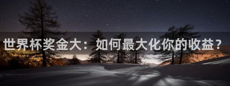 世界杯2026比赛时间表:世界杯奖金大:如何最大化你的收益?