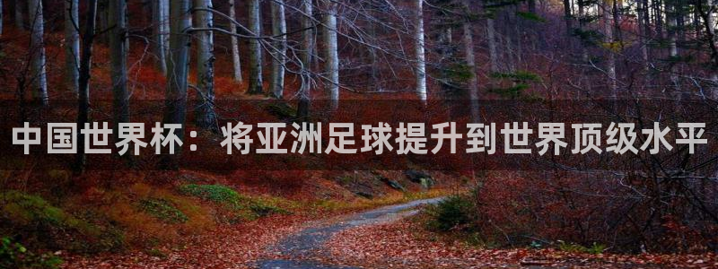 世界杯直播平台:中国世界杯:将亚洲足球提升到世界顶级水平