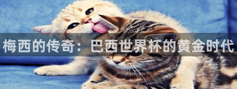 2026世界杯南美区积分榜:梅西的传奇:巴西世界杯的黄金时代