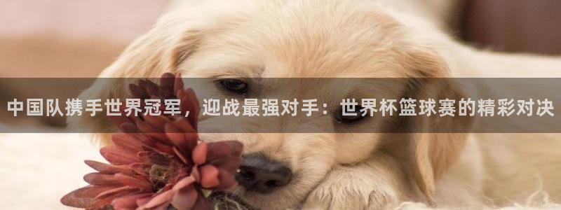 世界杯预选赛亚洲区积分榜：中国队携手世界冠军，迎战最强对手：世界杯篮球赛的精彩对决