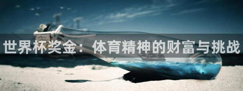 世界杯预选赛欧洲区赛程：世界杯奖金：体育精神的财富与挑战