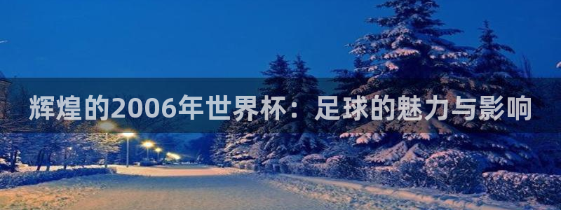 2026世界杯赛:辉煌的2006年世界杯:足球的魅力与影响
