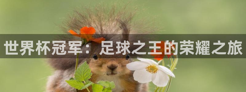 世界杯预选赛亚洲:世界杯冠军:足球之王的荣耀之旅